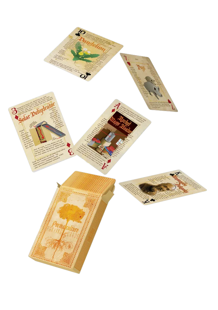 Orange deck box and cards
